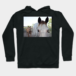 Mother & son Hoodie